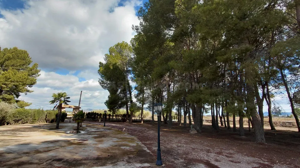 Casa de campo con parcela vallada, pinada, zona de olivos y amplia área de barbacoa