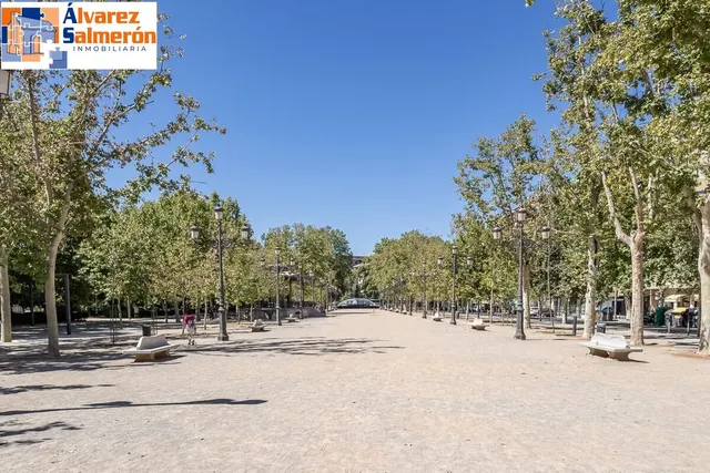 EXCLUSIVO INMUEBLE EN PLAZA DE CARRETAS, JUNTO AL EMBLEMÁTICO PASEO DEL SALÓN — 29