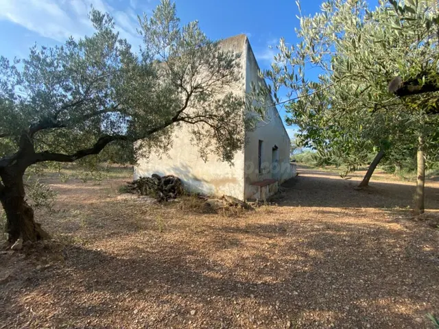 Fantástica finca con casa en la Miliana — 22
