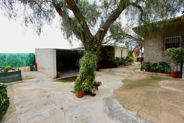 Villa 6 habitaciones 140m² en venta - Cañadas de San Pedro — 29
