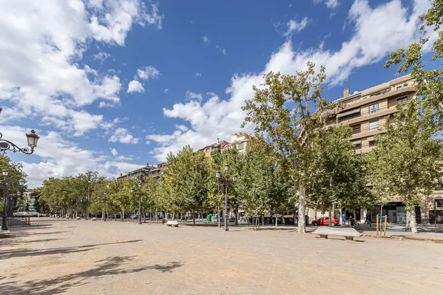 Pisazo en paseo del salón - Granada — 47