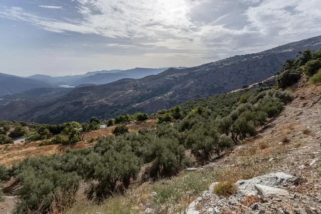 FANTASTICA CASA CON ENCANTO Y PARCELA EN CAÑAR, LA ALPUJARRA — 37