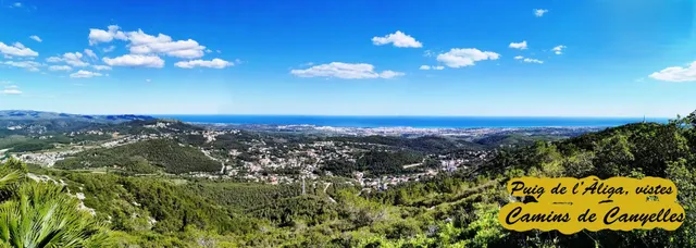 Terreno vallado en la entrada de la urbanización La Cogullada de Canyelles — 11