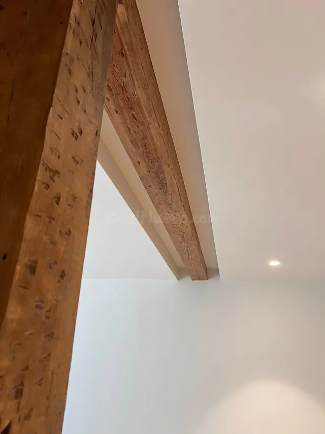 A ESTRENAR EN RÍO DE LA PILA: UNA VIVIENDA ÚNICA EN EL CENTR - foto 3