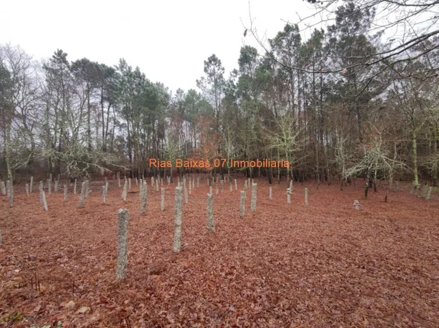 REF  2869 CASA PIEDRA PARA REFORMA INTEGRA CON 4024m2 TERRENO ( PONTEAREAS) — 10