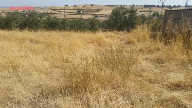 VENTA DE PARCELA EN PEDROCHE