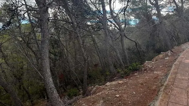 Parcela urbana consolidada en Mas Alba, Sant Pere de Ribes — 10