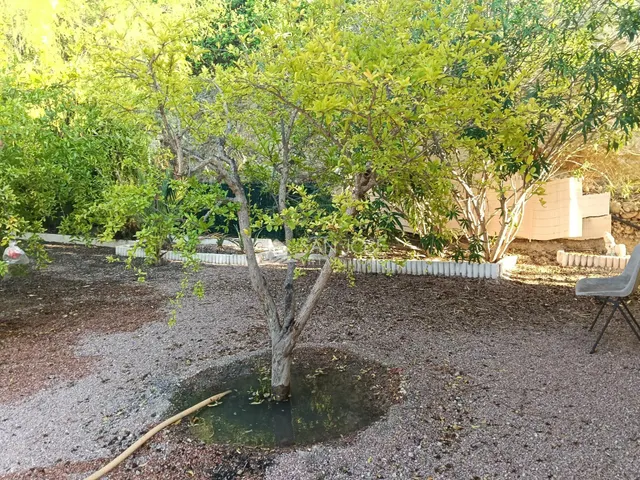 Se vende albergue con placas solares en buen estado cerca de Aspe — 28