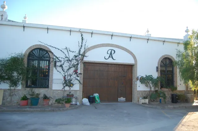 FINCA DE VIÑEDOS — 24