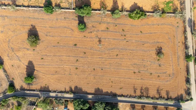 Tradicional Finca Rústica en Campos para reformar — 25