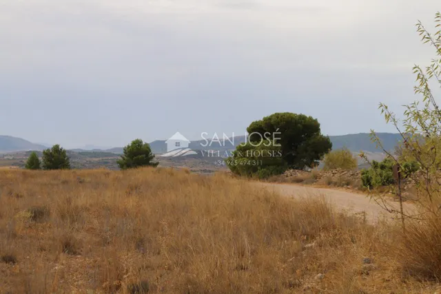 VENTA DE TERRENO EN JUMILLA — 7