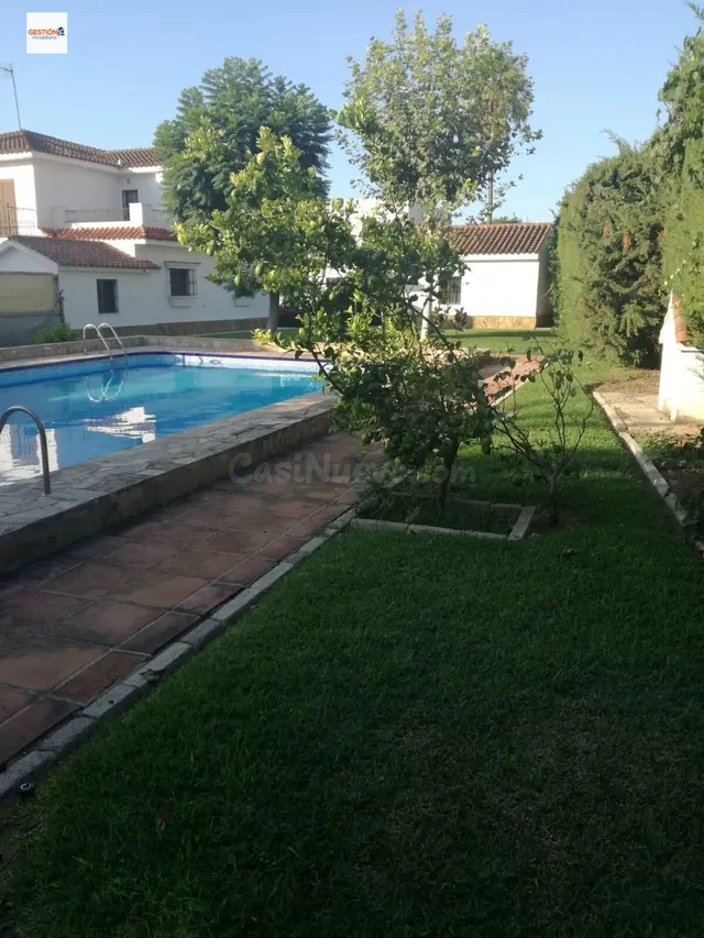Casa independiente en parcela de 975 m2 con piscina - foto 4