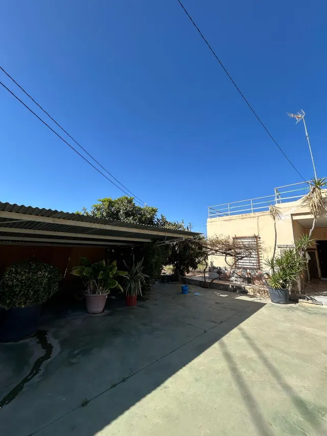BUSCAS UN CAMPO A 2 MINUTOS DE ELCHE ? — 10