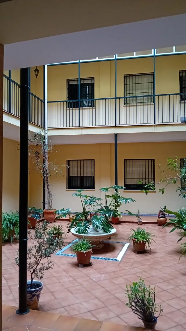 Centro San Vicente, calle Torneo, junto al Río. Excelente apartamento amueblado se alquila. Ascensor. — 31