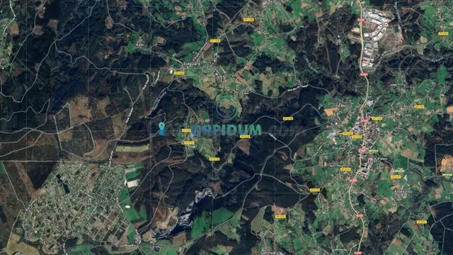 VENTA DE MONTE DE 12.600 M2 EN CABROIS, CARRAL - foto 3
