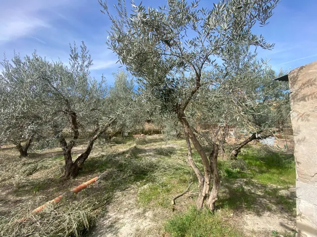 Cortijo muy cerca de pueblo de Tíjola — 12