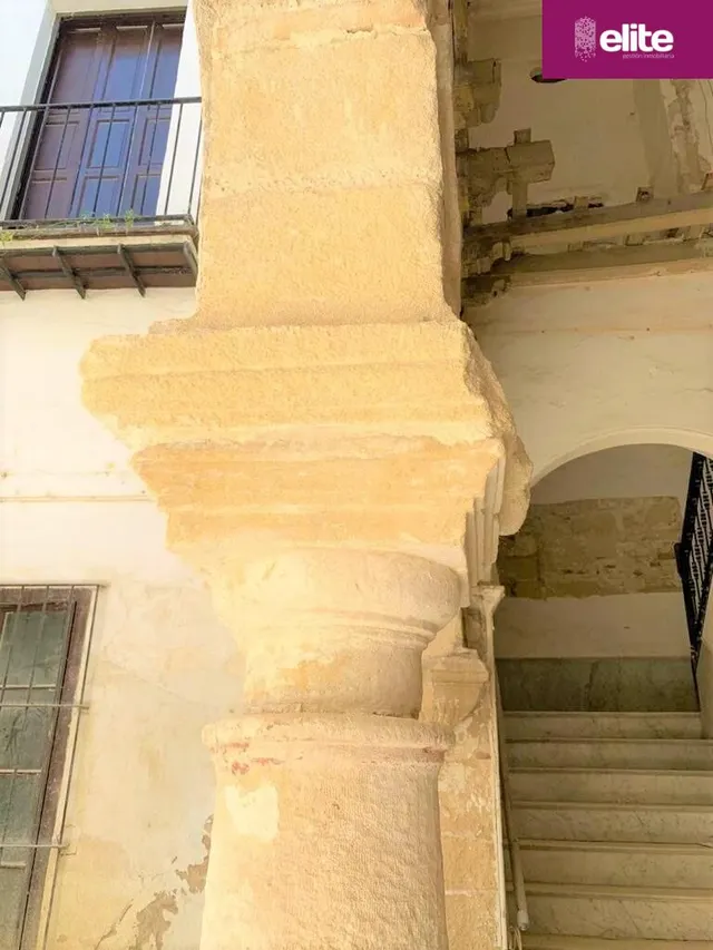 OPORTUNIDAD DE INVERSION MAGNIFICO PALACETE SEÑORIAL  EN EL CENTRO — 10