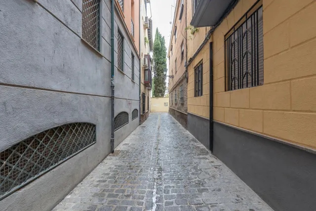 ALQUILER PARA ESTUDIANTES (ZONA REALEJO) — 43