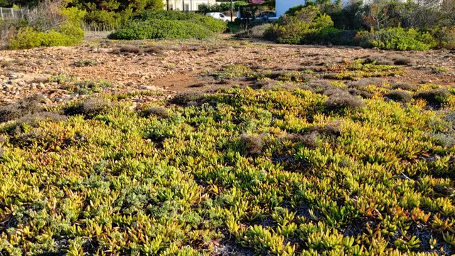 Solar en primera línea de mar con vistas espectaculares — 21
