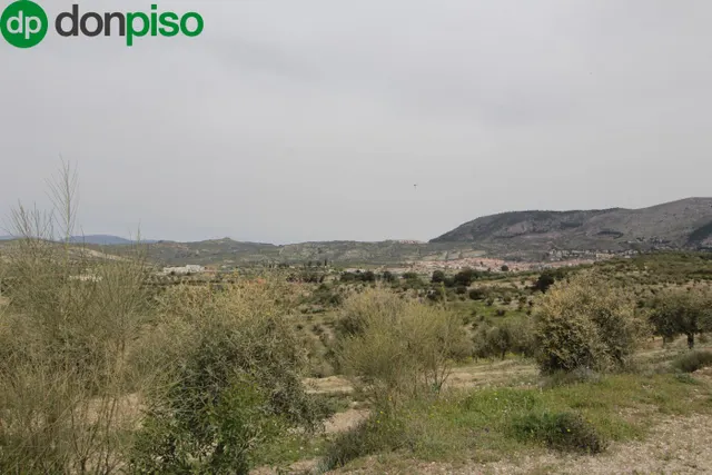 FINCA EN CORTIJO SAN JERÓNIMO (BARTODANO) — 35