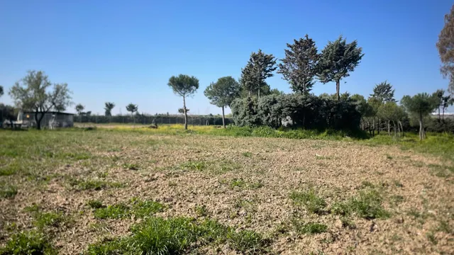 Terreno rural 10m² en alquiler - San Nicasio — 13