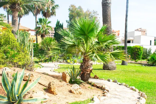 Villa 3 habitaciones 400m² en venta - Zona Galúa-Calnegre — 15