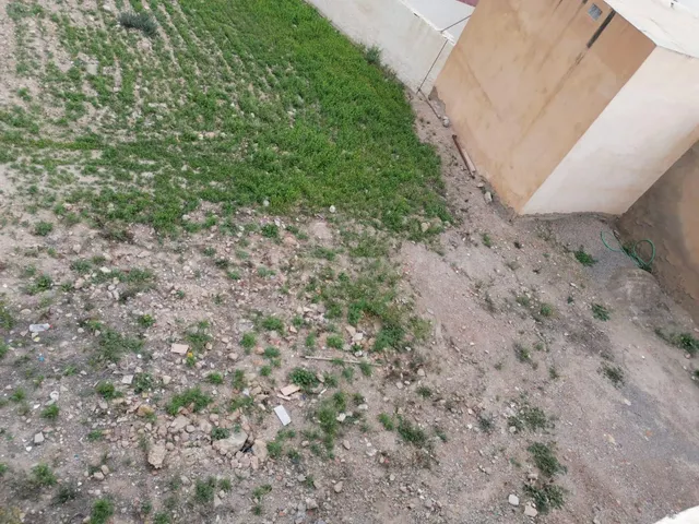 TERRENO URBANO EN DALIAS - foto 2