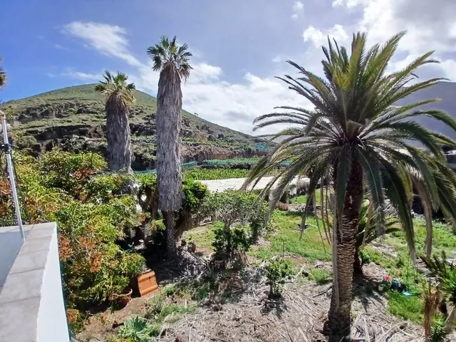Casa con finca en Buenavista del norte — 33