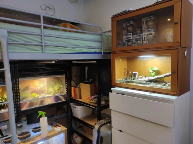 Casa/Chalet independiente en Sant Jaume - Tortosa — 30