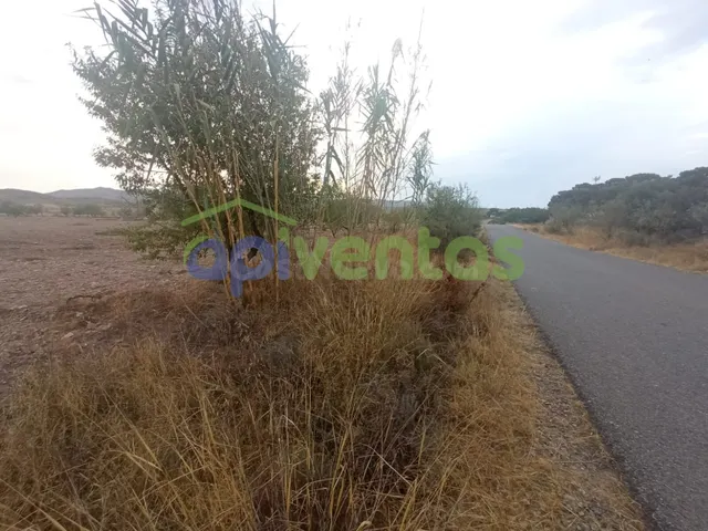 Terreno a 200 metros de la area de servicios EL LIMITE - foto 5