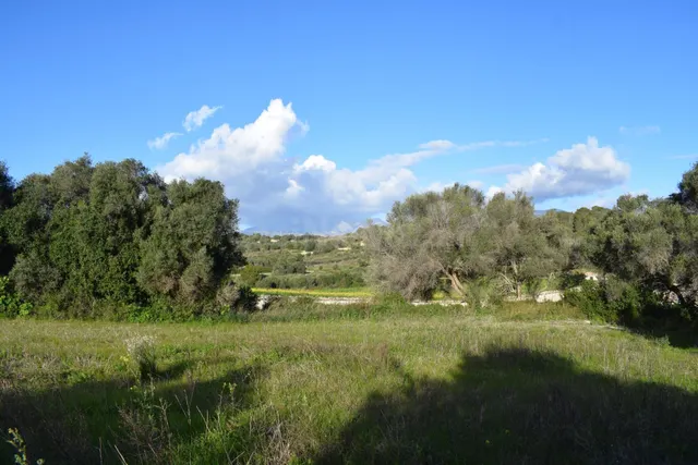 Finca rústica con posibilidad de construir una vivienda en M - foto 5