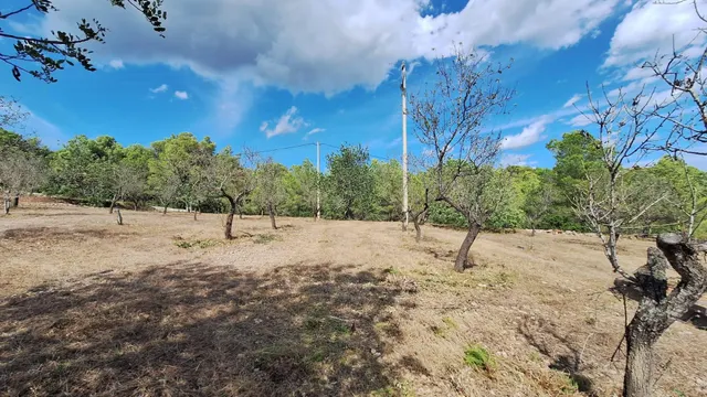 Finca rústica con encanto cerca de El Perelló – 23.000 m2 de naturaleza y tranquilidad — 7