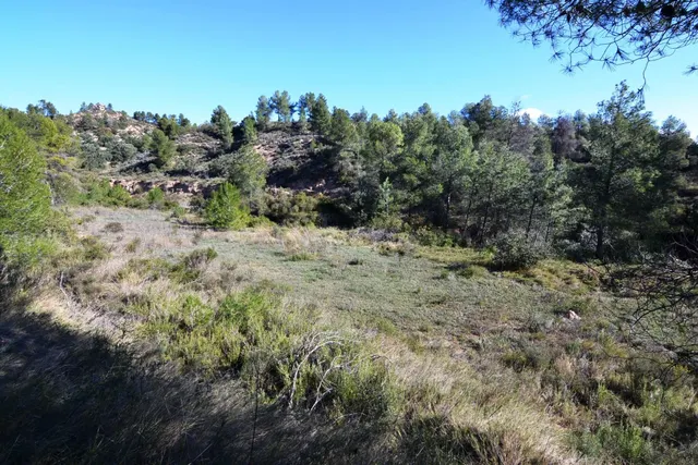 OCASION FINCA RUSTICA DE SECANO DE 2,4 HAS EN ASCO (Ribera d - foto 2