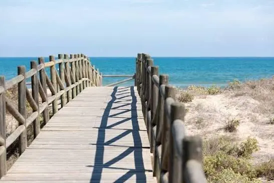 Vive Playa de Gandía como siempre has querido — 40