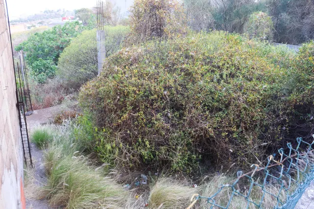 TERRENO URBANO EN EL SOBRADILLO, SANTA CRUZ DE TENERIFE — 15