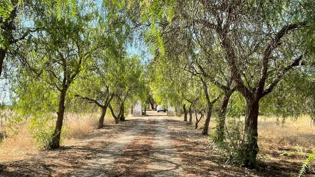 Encantadora casa de campo con encanto vintage y 20.000 m2 de - foto 2