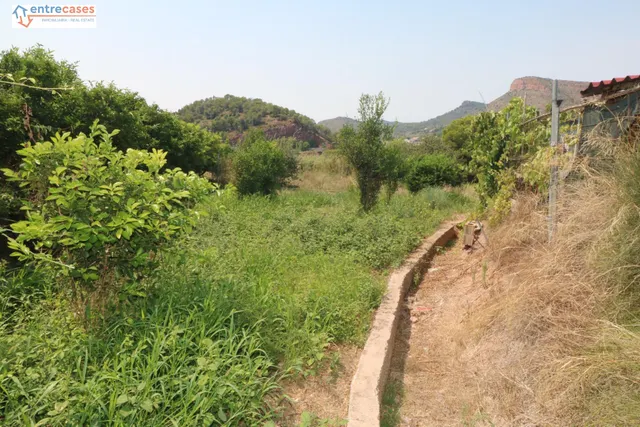 TERRENO DE 2 HANEGADAS ENTRE PETRES Y ALBALAT TARONGERS — 9