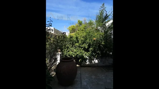 SE VENDE CASA ANTIGUA CON TERRENO DE 3 PLANTAS EN BERJA — 24