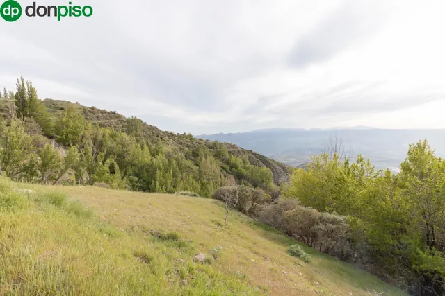 Cortijo Sierra Nigüelas — 42