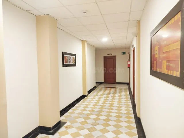Piso 1 habitación 53m² en venta - Alcalde L. Uruñuela - Pala - foto 3