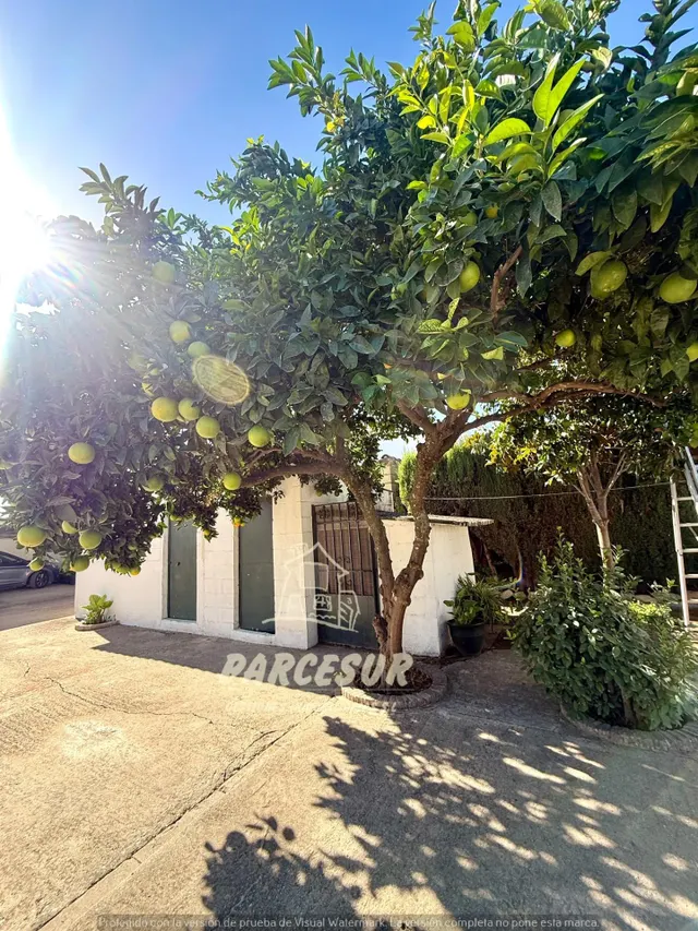 Chalet independiente en El Alcaide: espacio, comodidad y vida al aire libre — 34