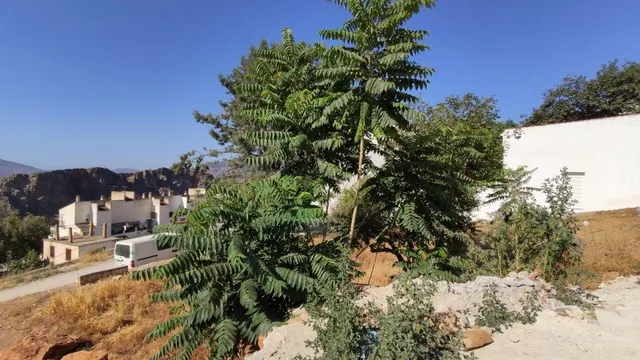 PARCELA URBANA EN LANJARON — 23