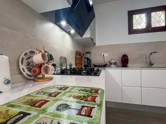 Finca Rústica de 20.000m2 con vivienda en venta. — 16