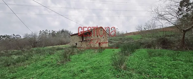 CABAÑA CON ARROYO,  PROYECTO Y CAMBIO DE USO EN LLANOS. PENAGOS — 23