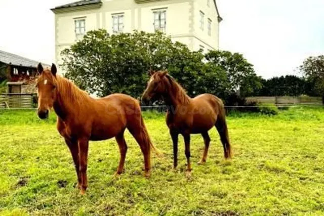 IMPRESIONANTE CASA INDIANA CON VISTAS AL MAR - foto 5
