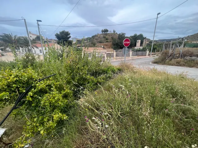 Parcela en Las Balsicas, Mazarrón – entorno tranquilo y natu - foto 3