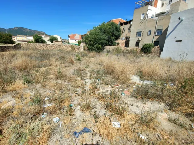 ¡MAGNÍFICA PARCELA URBANIZABLE EN SOCOVOS! - foto 3