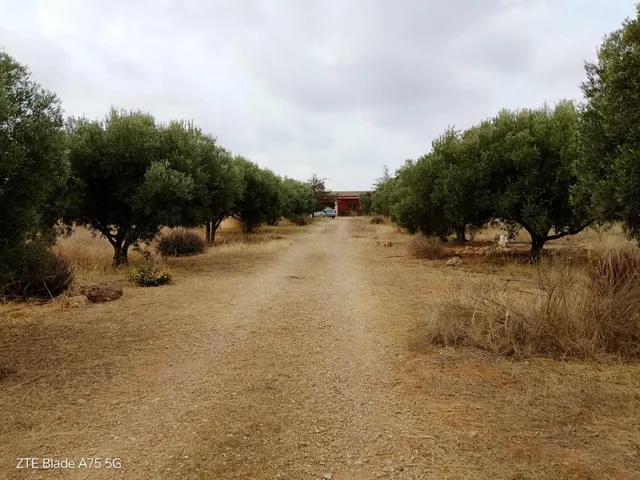 Finca rústica 4 habitaciones 230m² en venta - La Magdalena — 24