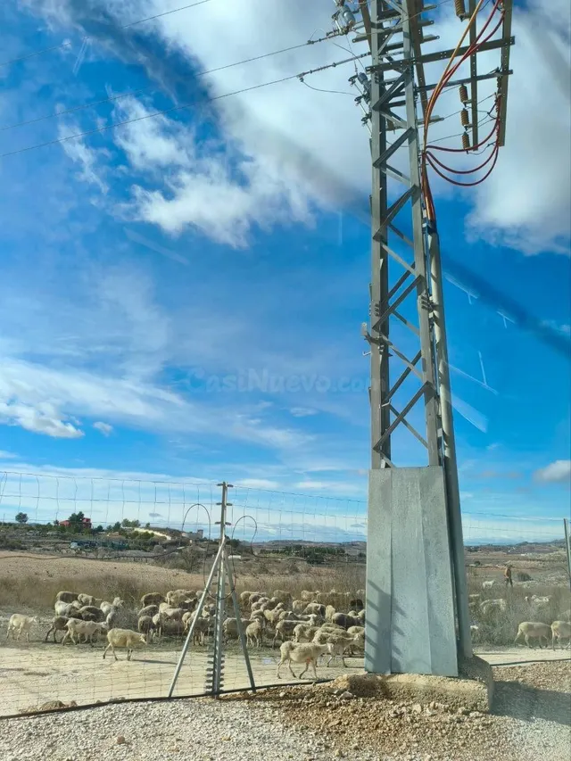 Doble Oportunidad: Finca con Proyecto Solar Aprobado (RBT) 2 - foto 2