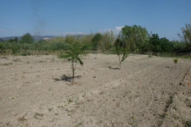 Terreno en Camí La Font - Ontinyent — 6